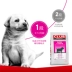 Poccinet Pháp Royal A3 chó con ưa thích 8kg lông vàng lớn chó trung bình chó nói chung thức ăn chủ yếu là thức ăn cho chó con - Chó Staples pate chó Chó Staples