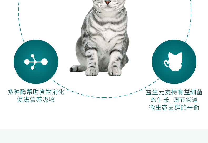 波奇 网 Yi Qin Duo Chó mèo Kete dạ dày kho báu bột sinh học điều hòa dạ dày 5g * 10 gói men vi sinh - Cat / Dog Health bổ sung sữa cho chó bị bệnh