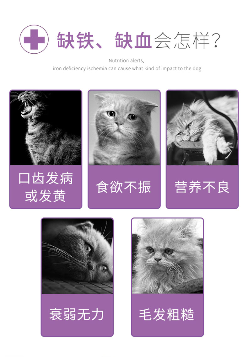 Boqi Net Gu Đặng thú cưng kem dưỡng máu mèo kem máu thiếu máu máu và máu để tăng cường thể lực - Cat / Dog Health bổ sung sữa cho mèo