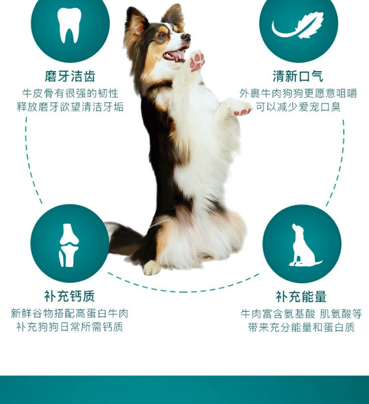 波奇 网 狗狗 食 食 磨牙 棒 怡 亲 牛肉 棒 75g 多 味 狗狗 磨 棒棒 幼犬 磨牙 棒 - Đồ ăn vặt cho chó thức ăn bổ máu cho chó
