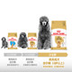 Royal senior dog food PDA26 Teddy VIP 8-year-old special full-price food senior dog staple food Boqi.com