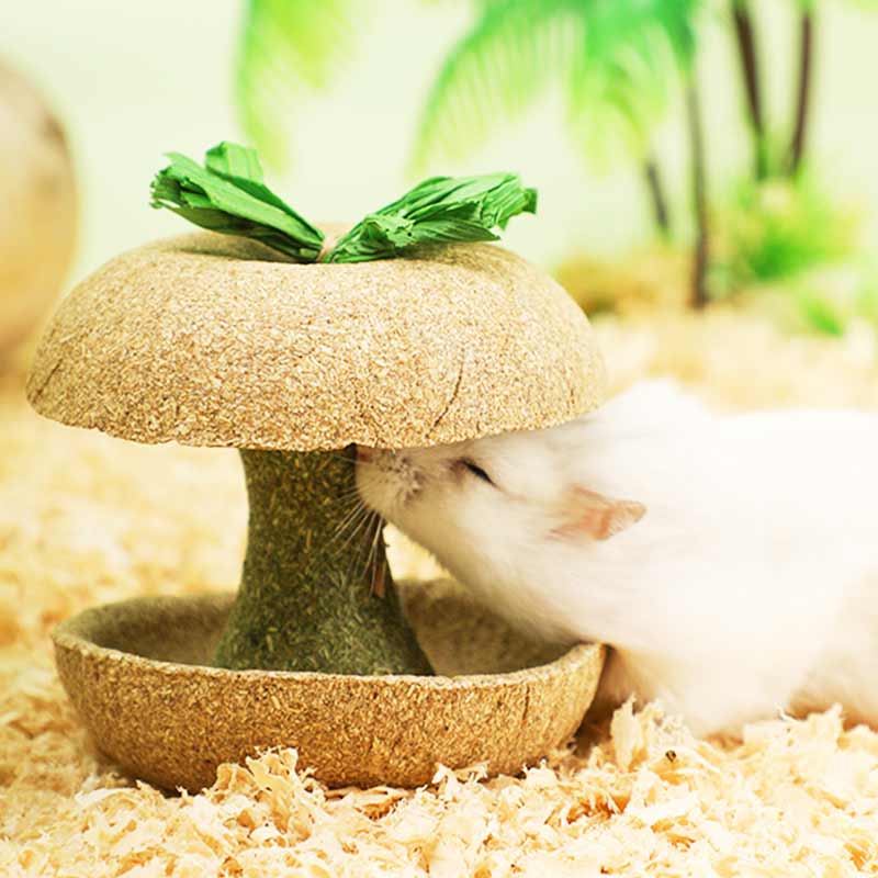 Apple core hamster grinding tooth stick corn snacks grain golden silk bear grindstone antidoting toy special build-up supplies