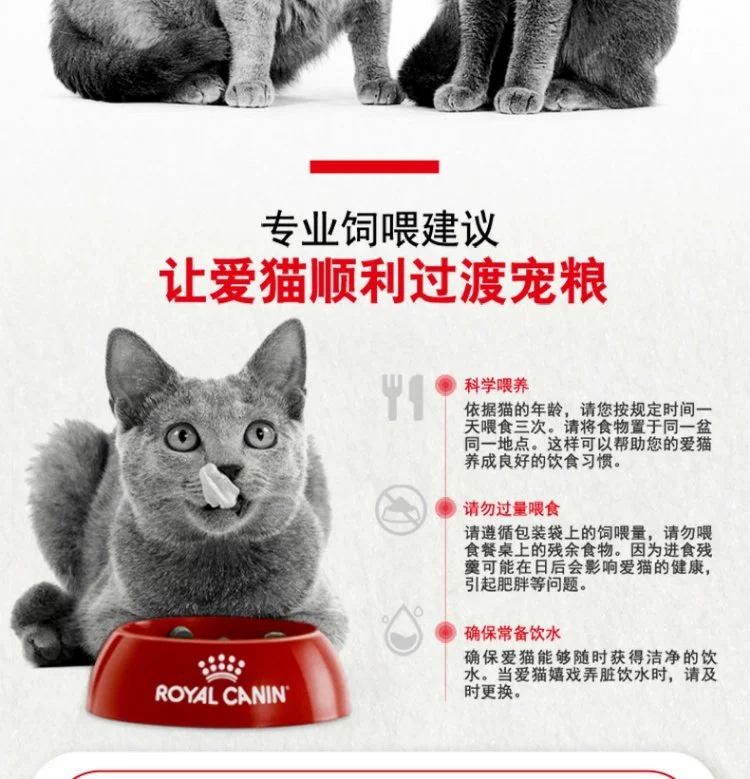 Boqi Net Royal Cat Food Chăm sóc tiệt trùng Thức ăn cho mèo SA37 / 0,4kg * 3 Thức ăn cho mèo ngắn của Anh 25 Tỉnh - Cat Staples