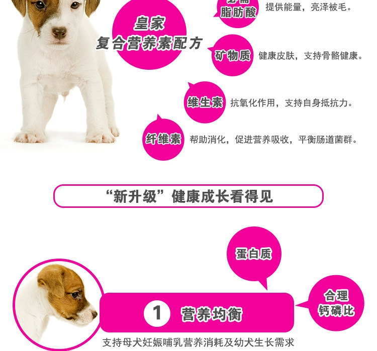 Poccinet Pháp Royal A3 chó con ưa thích 8kg lông vàng lớn chó trung bình chó nói chung thức ăn chủ yếu là thức ăn cho chó con - Chó Staples pate chó