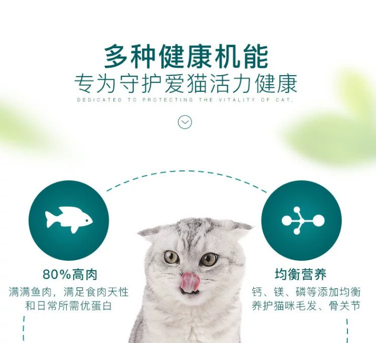 Boqi Net Cat Snacks Yi Jia Cat Đóng hộp 170g * 12 Cat Thức ăn ướt Mèo Cat Cat Snacks Đồ ăn nhẹ Pet