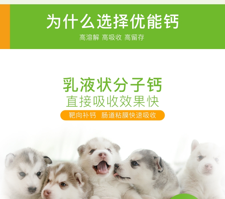 Thú cưng nhỏ EHD canxi thú cưng tuyệt vời cho mèo bổ sung canxi 120ml canxi dạng lỏng Viên nén canxi Teddy - Cat / Dog Health bổ sung 	sữa cho mèo con uống