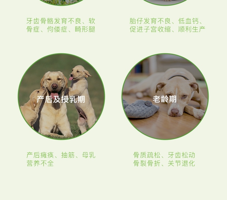 Thú cưng nhỏ EHD canxi thú cưng tuyệt vời cho mèo bổ sung canxi 120ml canxi dạng lỏng Viên nén canxi Teddy - Cat / Dog Health bổ sung 	sữa cho mèo con uống