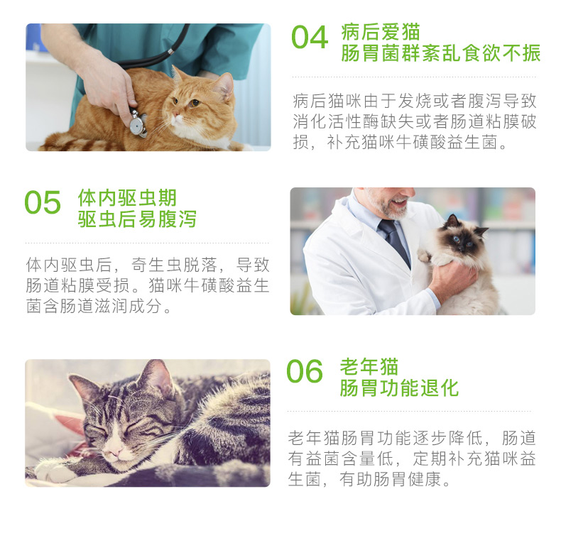 波奇 Thú cưng nhỏ EHD mèo đặc biệt men vi sinh có lông sáng 5g * 7 gói Garfield mèo raccoon men vi sinh - Cat / Dog Health bổ sung Mua sữa cho mèo con ở đầu