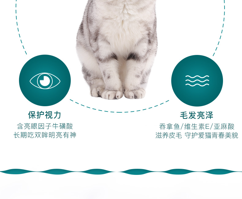 网 怡 cat Mèo đóng hộp 80g * 10 lần tai mèo ướt thức ăn nhiều thức ăn cho mèo cưng đồ ăn vặt cho mèo	