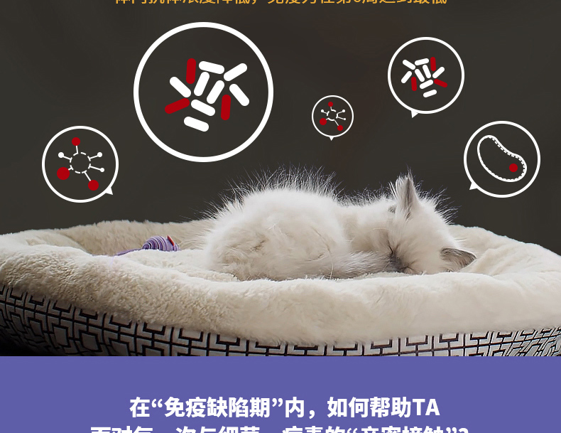 Pocci net vương miện có thể mèo thực phẩm kitten mèo giá đầy đủ thức ăn cho mèo 2.5 kg kitten mèo thực phẩm mèo hạt chính 25 tỉnh hạt minino