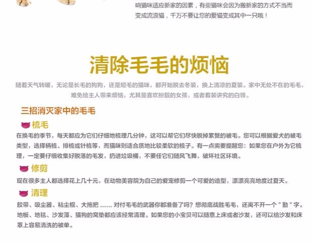 网 cat mèo cá hồi đóng hộp 80g đa hương vị Anh mèo ngắn đóng hộp mèo tươi gói Review các loại hạt cho mèo