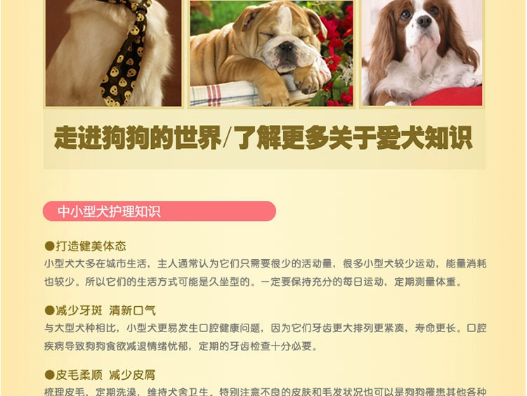 Thức ăn cho chó Boqi Wangbao Đường 20kg thức ăn cho chó trưởng thành Labrador Demu Jinmao Thức ăn cho chó cỡ trung bình lớn 40 kg - Chó Staples