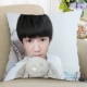 Creative DIY tùy chỉnh thực hiện để đặt Wang Yuan gối chăn kép xe gối đệm đệm sofa - Trở lại đệm / Bolsters Bộ chăn gối văn phòng hình thú