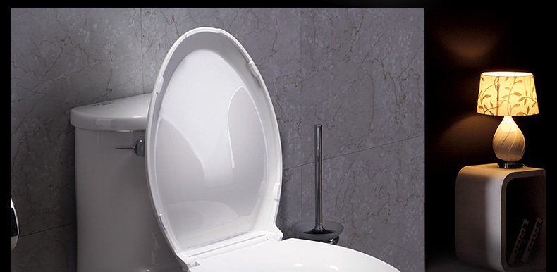 5171-toilet_24.jpg