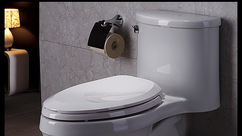 5171-toilet_28.jpg