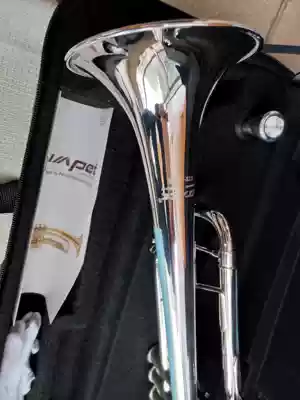 Grace Small model GTR300S