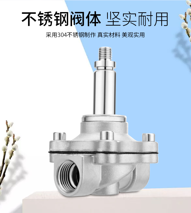 Соленоидный клапан 304不锈钢2w丝口电磁阀常闭型水阀开关阀ac220vdc24vdc12v4分6分 OTHER