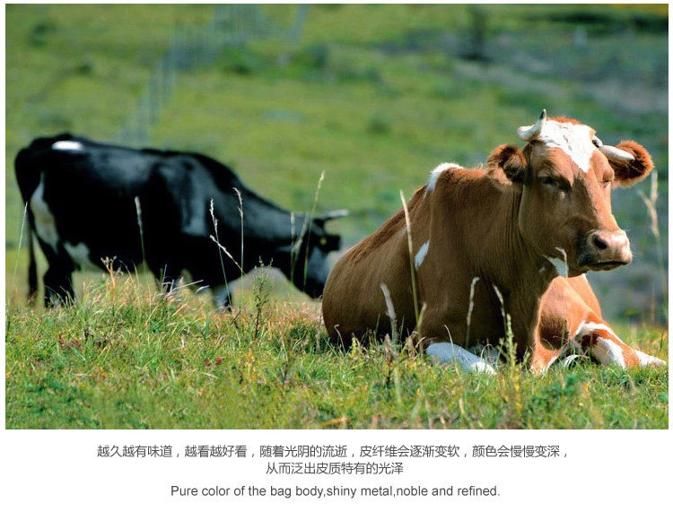 Sac pour homme - Ref 53477 Image 20