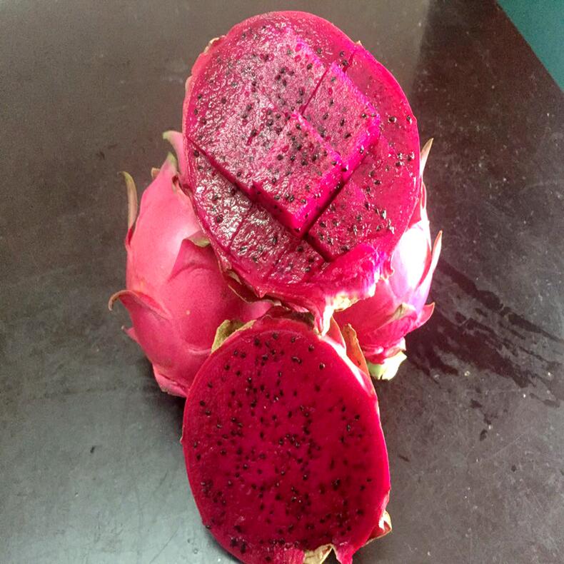 海南新鲜水果金都一号火龙果现摘现发5斤包邮