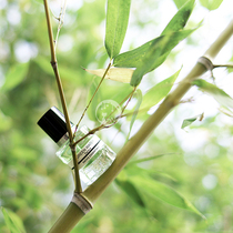 Spot Jacques Fath Green Water Fes Green Water Legendary Works Fresh and Neutral