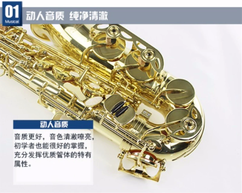 CONN-Selmer / Kang. Selma E-Flat Alto Saxophone / Nhạc cụ ống - Nhạc cụ phương Tây