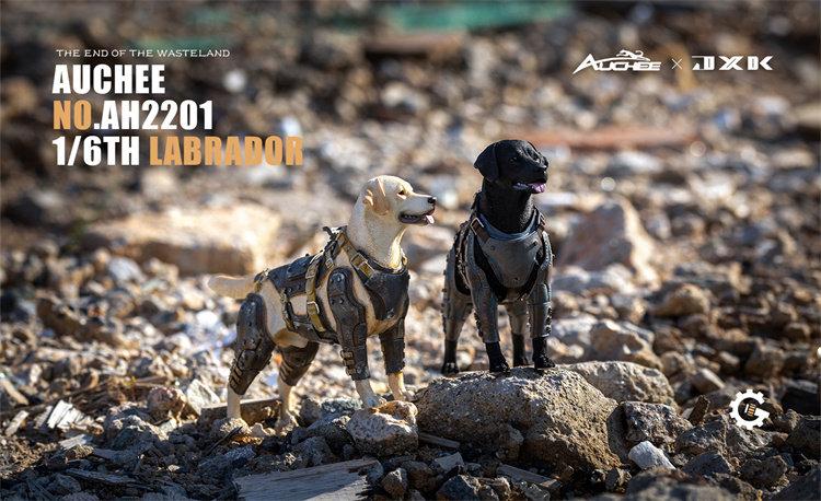 Solicitor Auchee × JXK combined nomination 1 6 Armor Labrador Animal Model GK Swing