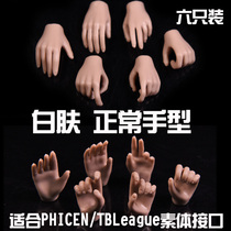  Spot 1 6 PHICEN TBLeague rubber coated body Custom-made replaceable hand type Grip type