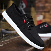 2019 canvas shoes light shoes soft bottom work shoes men shoes one pedal casual shoes men Korean sports shoes shoes