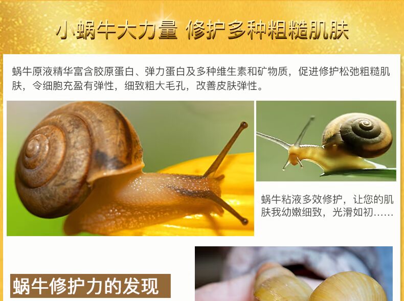 Ngôn ngữ Shi Xin thu nhỏ lỗ chân lông ốc sên vàng tinh chất rau má
