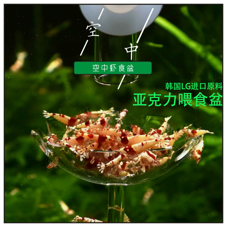 Fields Park Walk New Aerial Shrimp Food Basin Feeding Basin High Water Pervious Crystal Shrimp Ornamental Spirowatching Shrimp Feeding Basin Feed
