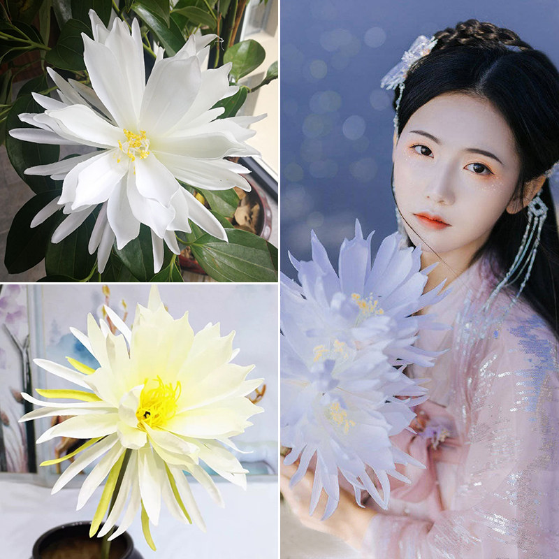 Ancient Wind Family Residence Decoration Fake Flowers Sea Tang Flowers Ancient Wind Hanfu Hanfu Pan Flower Props Photos of Authentic Emulation Flowers to hold flowers