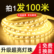 100 m led light strip home living room ceiling super bright outdoor waterproof neon patch soft light bar 220V project