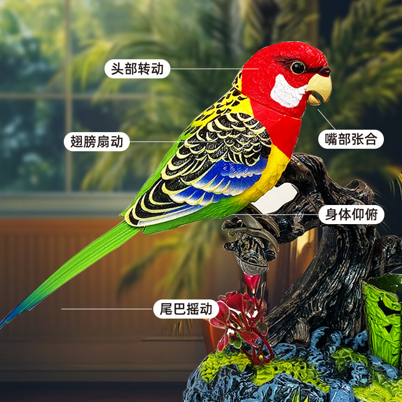 这鸟会喊“妈”,还能认人?老人孤寡夜的救星真来了?_ai玩具_淘宝数码网