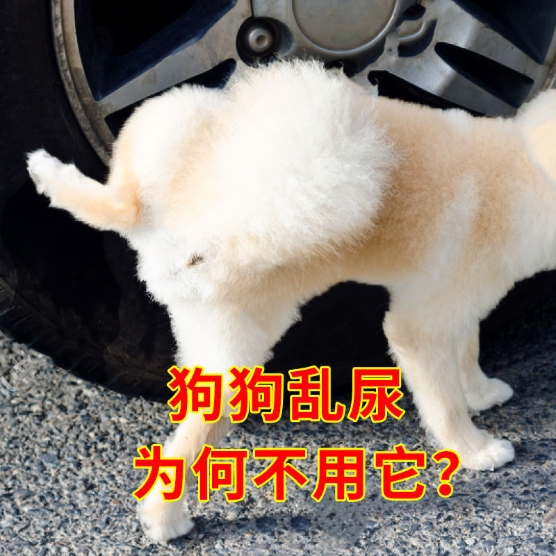 Anti-dog urine sprays Puppy Lurgy prevention of dog urinals Repellent Long-lasting Forbidden Zone Spray Outdoor dog Gods Instrumental