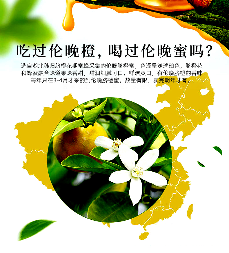 【蜂之巢】条装小包装天然农家土蜂蜜