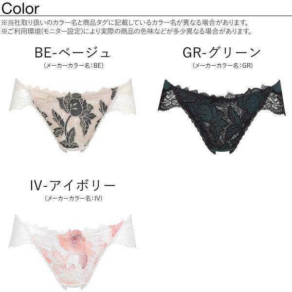 Japanese native Wacoal hualtrefle delicately advanced flowers embroidered triangle pants Japanese made 793