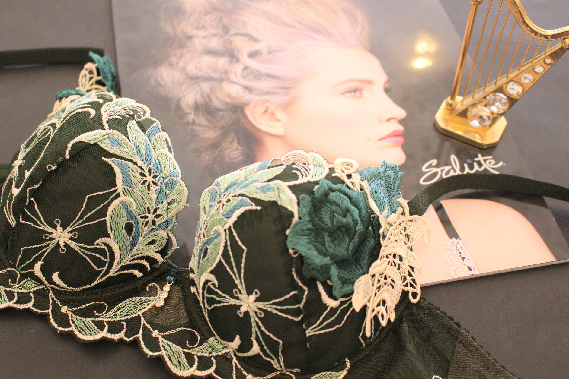  Japanese mainland China Goeel SALUTE Furong moon Night Delicate Lingerie Bra Japan 731