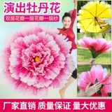 Рука с цветочным моделированием пион цветок танце