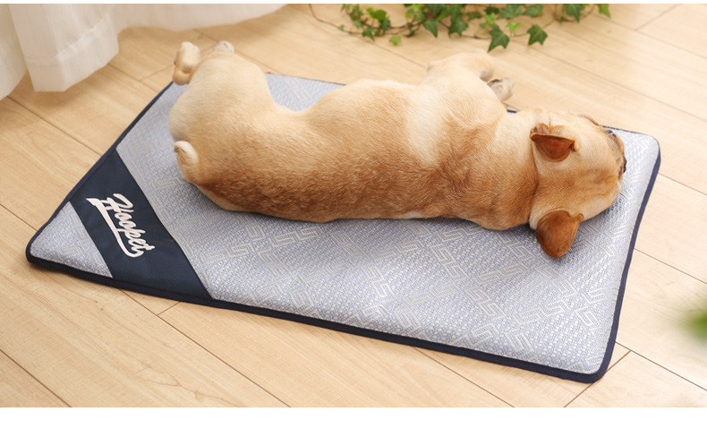 Pet băng pad chó mùa hè mat mat mùa hè mat kennel ngủ mat pet mat mèo cắn gia vị cung cấp - Cat / Dog hàng ngày Neccessities bình nước gắn chuồng