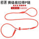 Pet P chain P-shaped rope dog training supplies dog leash dog walking rope puppy chain Teddy medium and large small dogs