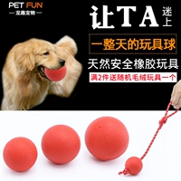 Dog Pet Toy Toys Mogo Puppy Elastic Slim