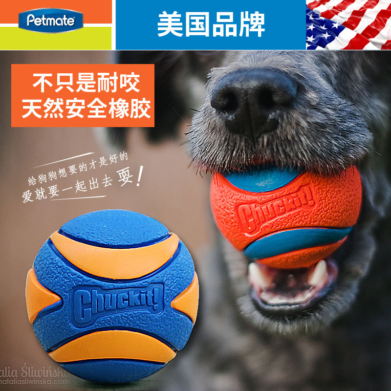 petmate bite resistant pet dog toy grindle vocals vocal ball puppies golden wow teddy dog supplies demoralizing from hi