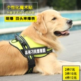 Qingcang Pet Dog Grap Kinsmer, личность магические наклейки K9 Past