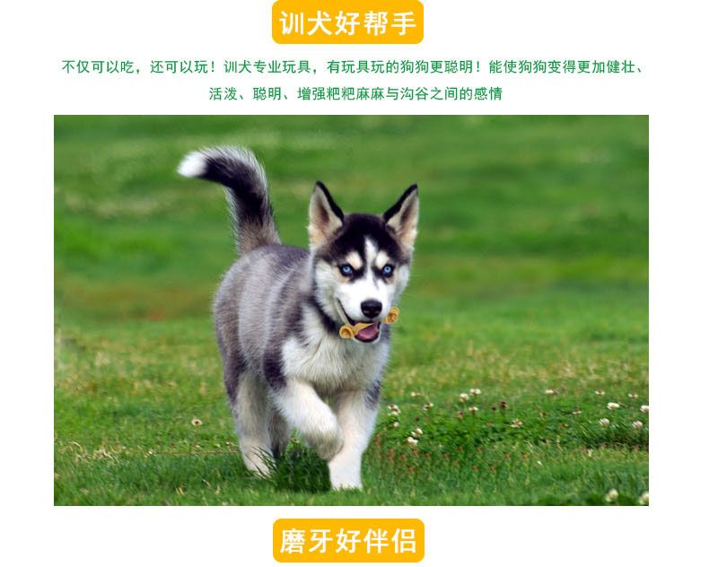Đồ ăn nhẹ cho chó / Đồ ăn nhẹ cho thú cưng / Đồ ăn nhẹ / Gậy chó Molar / Nhai chó / Hương vị thịt bò / Mì bò 10 Gói royal canin cho chó con