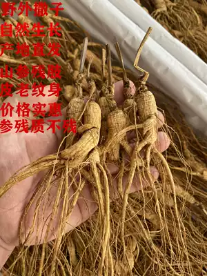 Mountain ginseng, residual ginseng, ginseng, Changbai Mountain, wild mountain ginseng, residual branches, forest ginseng, dried ginseng, northeast residual branches, soup, wine, water