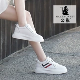 公猴 Tide, белая обувь, универсальные кроссовки на плоской подошве, туфли на платформе, коллекция 2022, из натуральной кожи, осенняя, популярно в интернете
