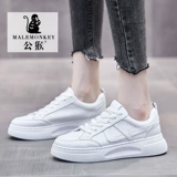 公猴 Белая обувь, туфли, универсальные спортивные кроссовки, коллекция 2022, осенняя, популярно в интернете