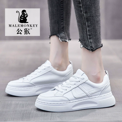 公猴 Белая обувь, туфли, универсальные спортивные кроссовки, коллекция 2022, осенняя, популярно в интернете