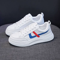 Белая орхидея