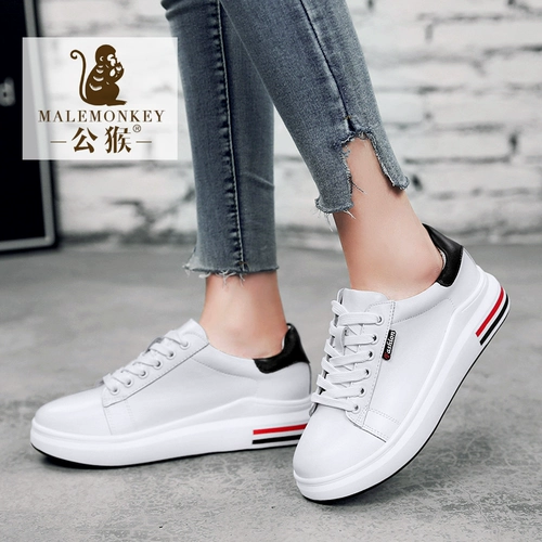 公猴 Белая обувь, туфли, кроссовки на платформе, повседневная обувь, в корейском стиле, из натуральной кожи